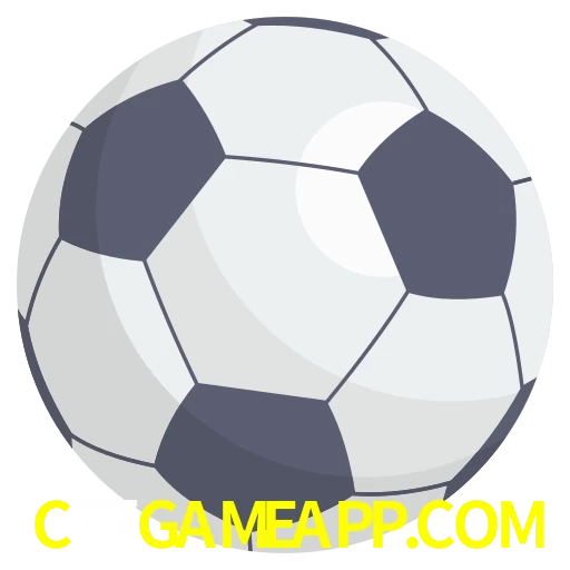 Futebol